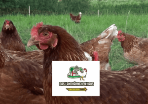 LAND-HÄHNCHENHAUS жареный цыплёнок. Франшиза немецкого кафе