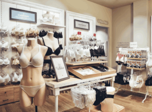 Triumph: Франшиза по продаже эксклюзивного белья и корректирующей одежды. Купить франшизу в Германии